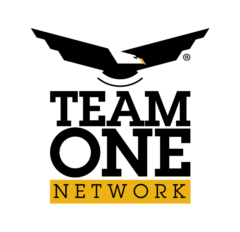 TeamOne Network image