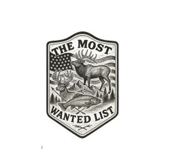 The Most Wanted List image